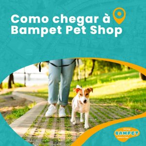como chegar