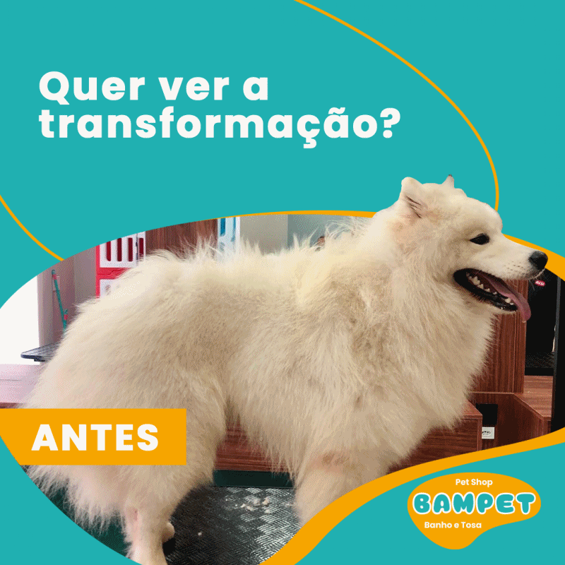 anigif