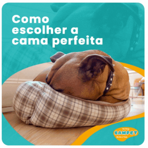 cama