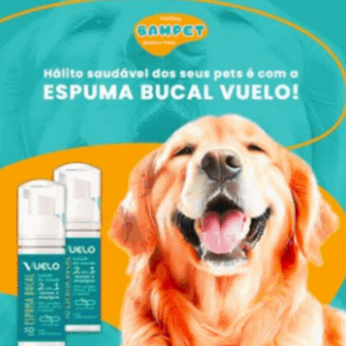 vuelo